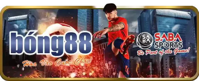 Hướng dẫn cá cược trực tuyến cho người mới